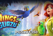 wings_of_iguazu